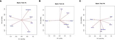 Strategies for identifying stable lentil cultivars (Lens culinaris Medik) for combating hidden hunger, malnourishment, and climate variability